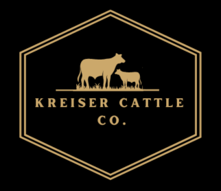 https://irvineminorhockey.com/wp-content/uploads/sites/696/2024/09/Kreiser-logo-1.png